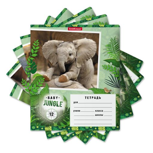 Цена за 2 шт. Тетрадь 12л. ErichKrause клетка "Baby Jungle" (48832) обложка - мелованный картон
