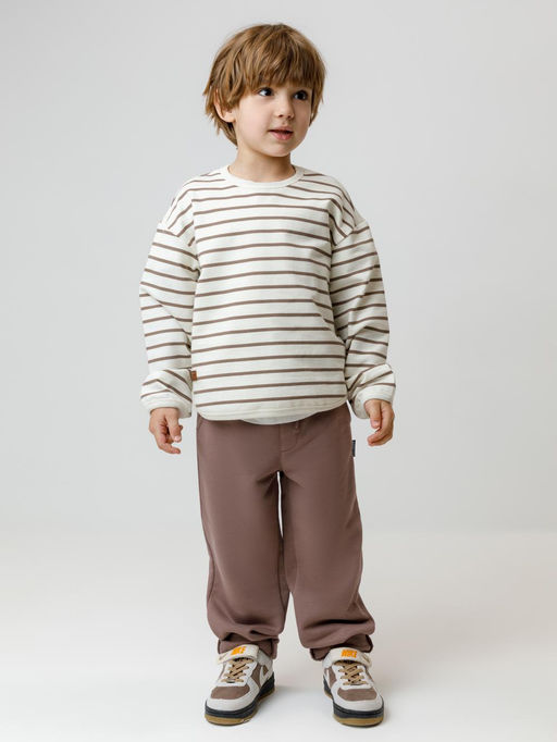 КР 400831/бразильский дуб к656 брюки для мал