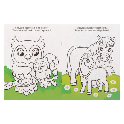 Раскраски набор Для девочек, 8 шт. по 12 стр.