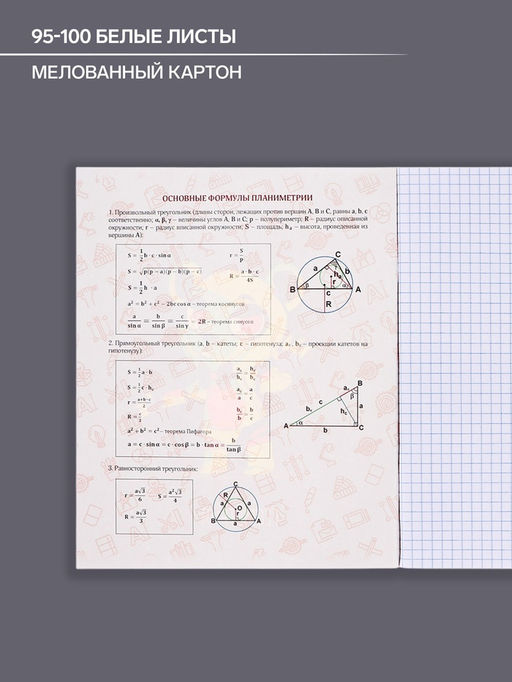 Цена за 5 шт. Тетрадь предметная 48 листов в клетку, Calligrata «Неоновые звери. Геометрия», обложка мелованный картон