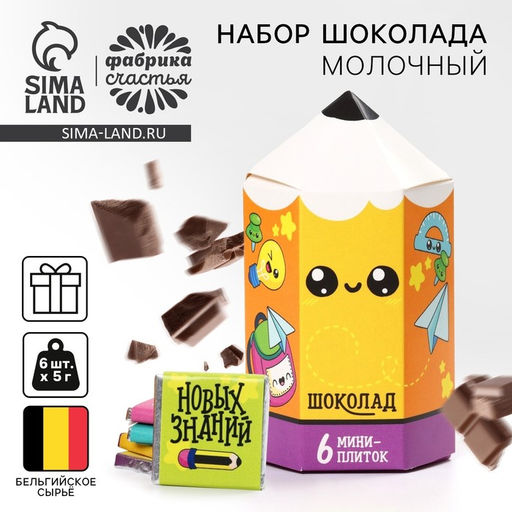 Шоколад подарочный, на 1 сентября Снова в школу, (5 г х 6 шт)