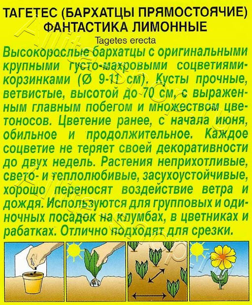 Бархатцы Фантастика Лимонные 0,1г (Аэлита)