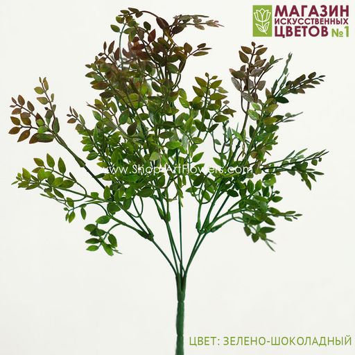 103 Листья фисташки, куст - Без тм фото 4