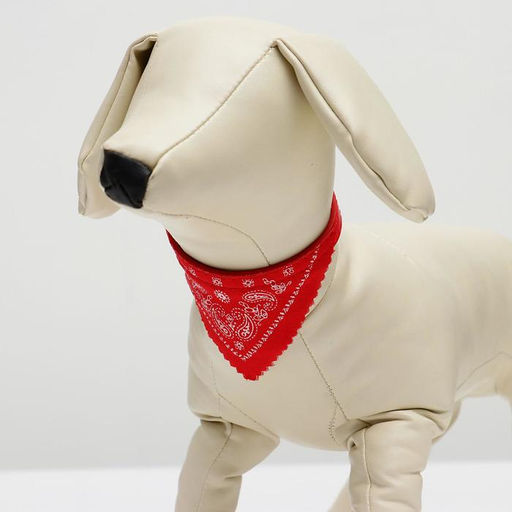 Ошейник с косынкой 32 х 1 см, ОШ 22-28, красный - Пижон фото 4