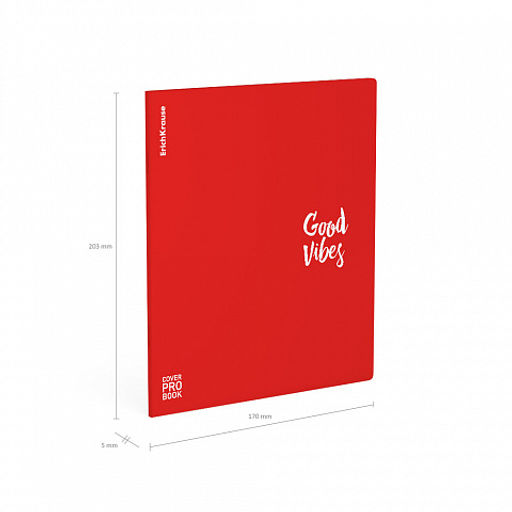 Цена за 5 шт. Тетрадь общая ученическая с пластиковой обложкой на скобе ErichKrause Words, красный, А5+, 48 листов, клетка_MIX-PACK  фото 21