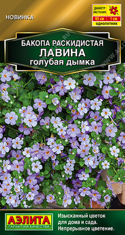 Бакопа раскидистая Лавина голубая дымка