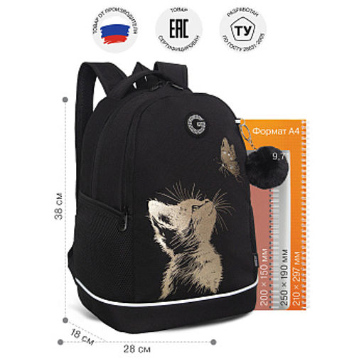 RG-663-3 Рюкзак школьный с обвесом - Grizzly фото 12