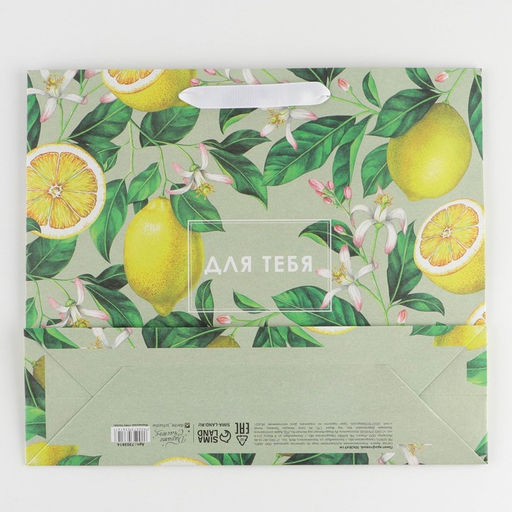 Пакет крафтовый горизонтальный Лимончики, M 30 х 26 х 9 см - Дарите счастье фото 4