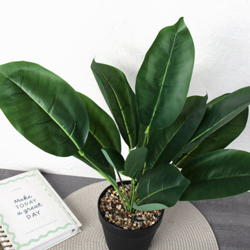 Цветочная композиция Фикус 45 см / ZH-007 /уп 48/ - Галеонтрейд фото 2