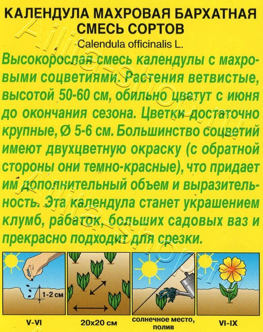 Календула Бархатная махровая (смесь сортов) 0,3г (Аэлита)