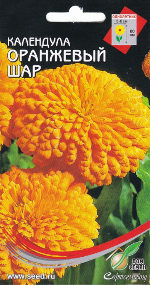 Календула Оранжевый Шар