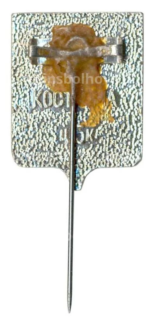 Значок Кострома