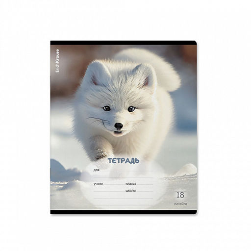 Цена за 10 шт. Тетрадь школьная ученическая ErichKrause Пушистики, 18 листов, линейка (в плёнке по 10 шт.)_MIX-PACK  фото 3