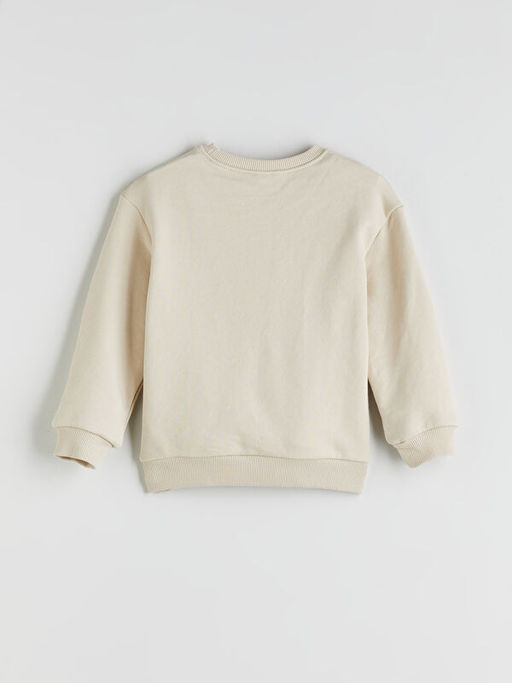 Dinazor Bask?l? Erkek ?ocuk Sweatshirt ve E?ofman Alt 2li