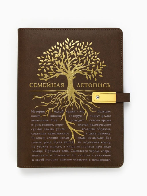 Родословная книга со встроенной флешкой 16 Gb «Семейная летопись», 17.5×23 см