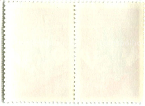 Марка 250 лет Добровольного присоединения Казахстана к России 1981 год (блок из 2 марок)