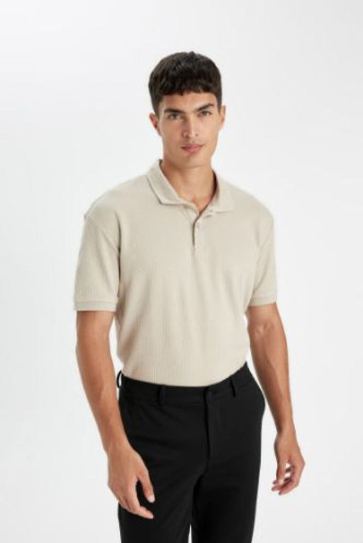 Regular Fit Basic Duz K?sa Kollu Polo Tisort
