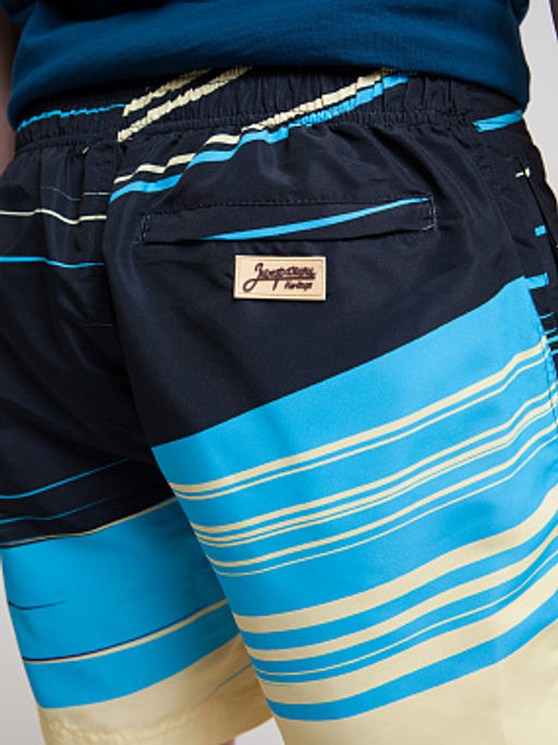 Шорты ЗАПОРОЖЕЦ Samolet BLACK/MULTI  фото 4