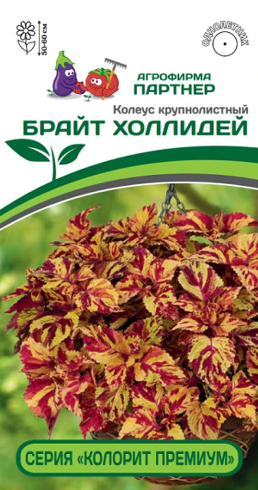 3313P Колеус "КОЛОРИТ ПРЕМИУМ" БРАЙТ ХОЛЛИДЕЙ 5шт
