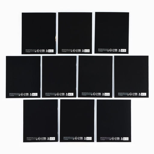 Тетради предметные, 48 л., набор из 10 шт., блок №1, софт тач лам, уф лак Силуэт - Artfox study фото 4