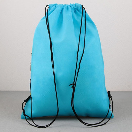 Сумка для обуви Dinotime, нетканное полотно, размер 41х31 см - Artfox study фото 7