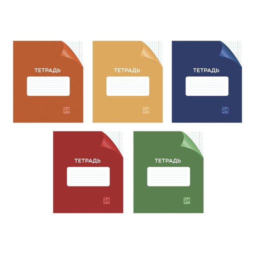 Цена за 10 шт. Тетрадь 24 листа в клетку Calligrata «Однотонная Классика с уголком. Эконом», обложка мелованный картон, ВД-лак, блок №2 (серые листы), МИКС