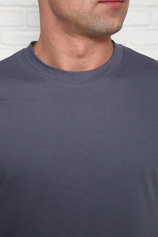 Футболка мужская (01036) - Плиона фото 24