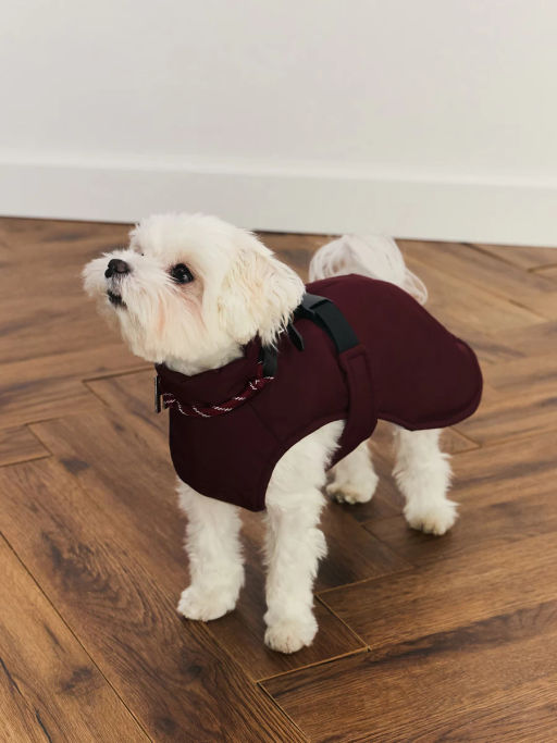 джемпер (попона) для животных / Zarina фото 4