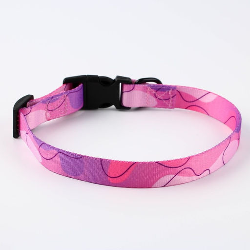 Набор Нежность, застёжка - фастекс, поводок 2 м и ошейник 28-46 см - Пушистое счастье фото 7