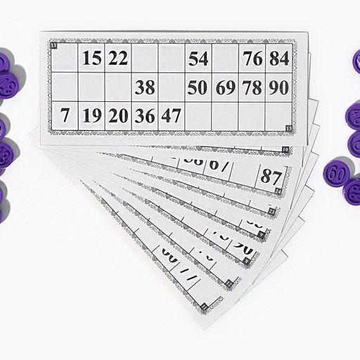 Русское лото подарочное «С Новым годом», 24 карточки