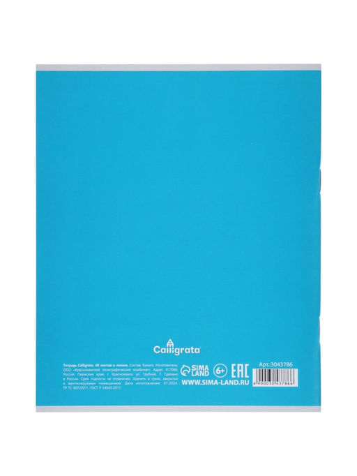 Комплект тетрадей из 4 штук, 48 листов в линейку «Дикие кошки», серые листы