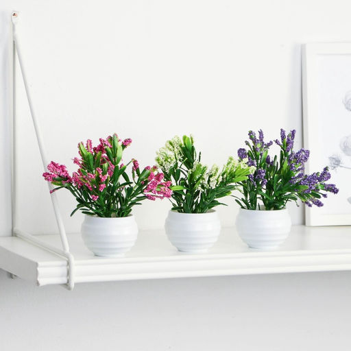 Искусственный цветок в горшке «Крассула», 5.5×11 см, МИКС