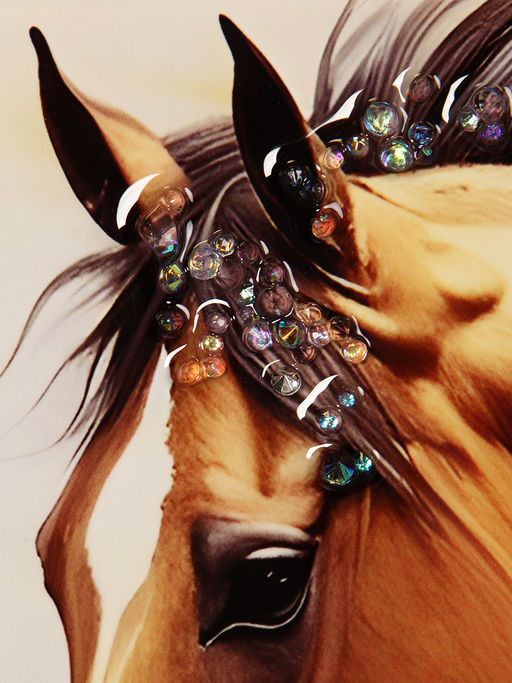 Картина 50х70 Лошадь / KK2-570 /уп 18/стразы - Галеонтрейд фото 3