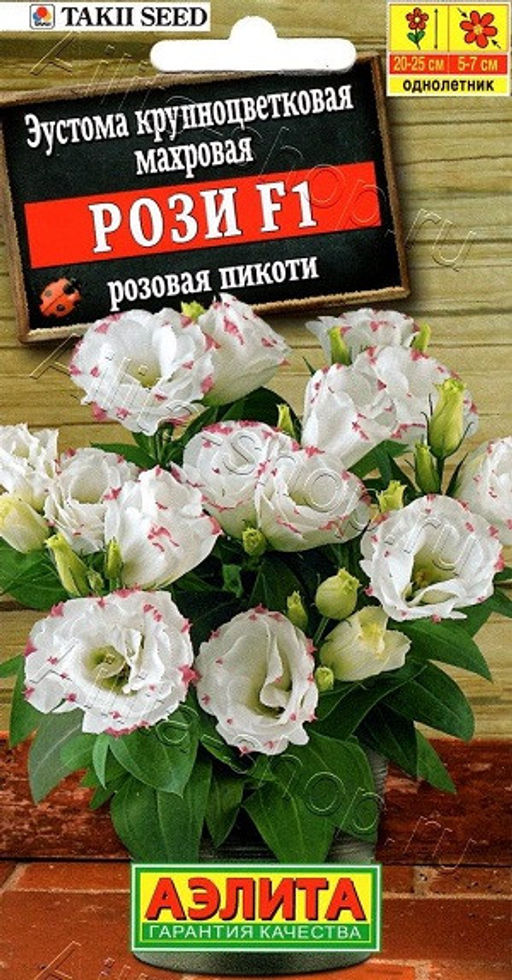 1952A Эустома Рози F1 розовая пикоти крупноцветковая махровая 5шт