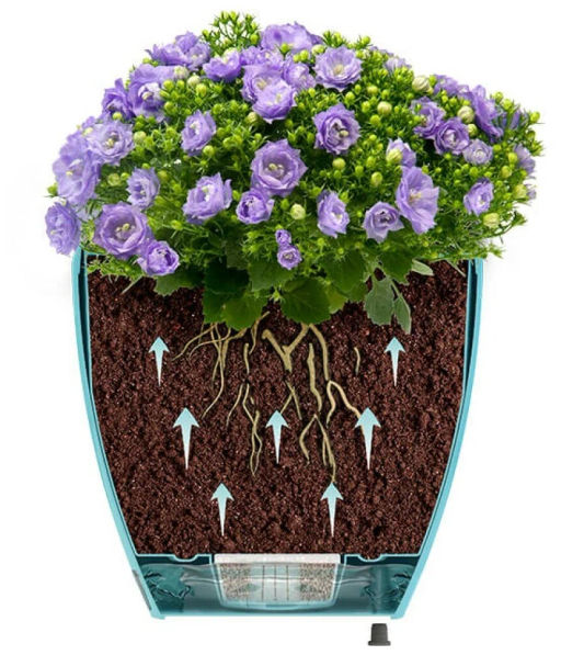 Горшок для цветов ДЕКО ТВИН 2,5л, цвет Нефрит (ДЕК 2,5 НЕФ) - Крассула фото 7