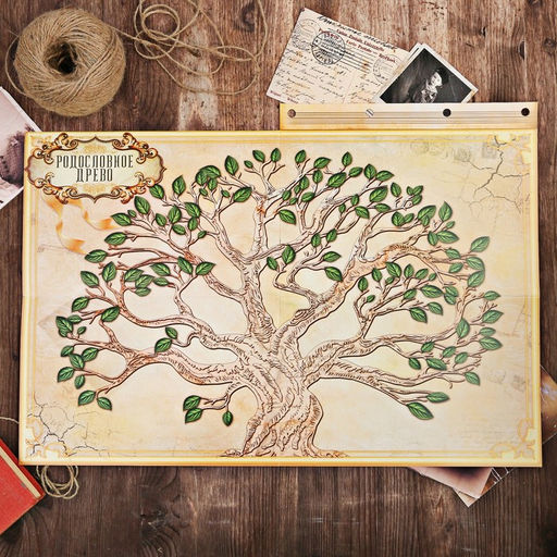 Родословная книга «Книга нашей семьи», 65 листов, 32×23 см.