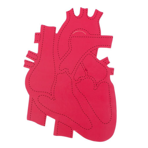 Набор для опытов Моё тело, сердце - Эврики фото 4