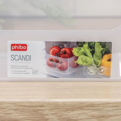 Цена за 2 шт. Корзина для хранения Scandi, 3.1 л, 24×17×9 см, прозрачная