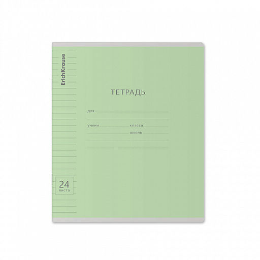 Цена за 160 шт. Тетрадь школьная ученическая ErichKrause Классика Visio ассорти, 24 листа, линейка (в плёнке по 10 шт.) фото 32