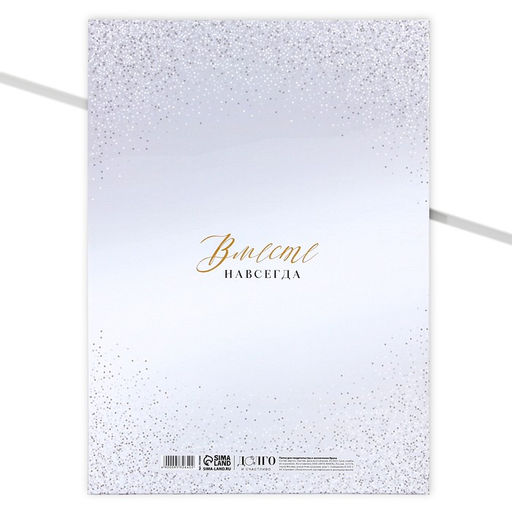 Папка для свидетельства о заключении брака Мы стали семьёй, цветы, А4 - Долго и счастливо фото 2