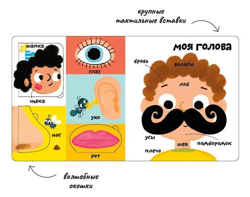 Мои первые 100 слов с окошками. Мое тело - Робинс фото 2