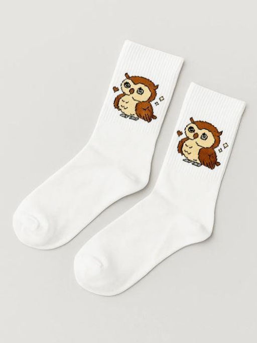 Носки Cute owl, белый, мужские/женские р. 35-40
