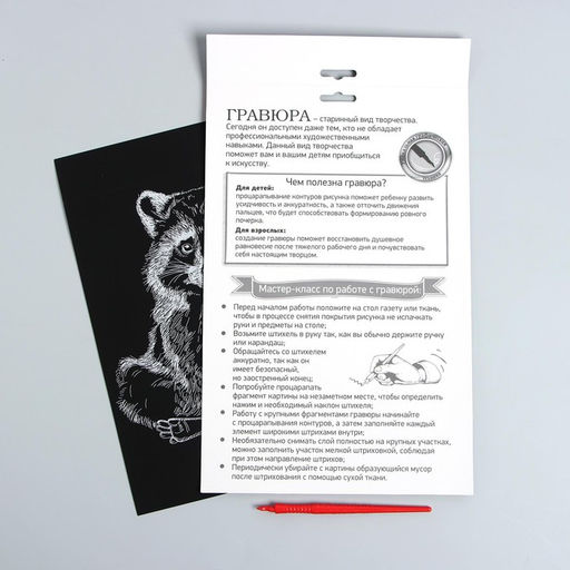 Цена за 3 шт. Гравюра на подложке «Енот» с металлическим эффектом «серебро» А4