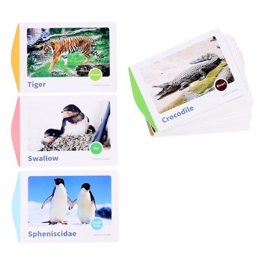 Набор для визуальных опытов Динамические фигуры 16 карточек - Simaland фото 4