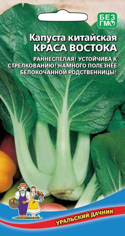 Капуста китайская КРАСА ВОСТОКА Устойчива к стрелкованию! Намного полезнее белокочанной родственницы! Черешок мясистый, сочный и очень вкусный!