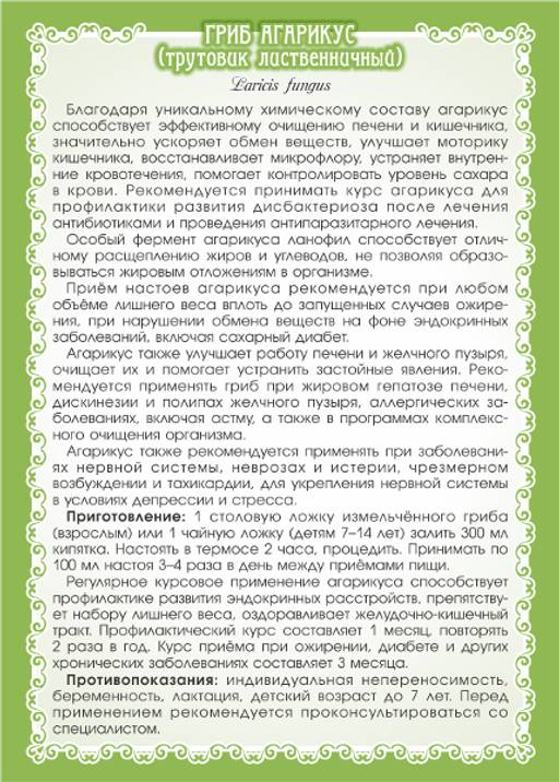 Гриб Агарикус - Мариславна фото 4