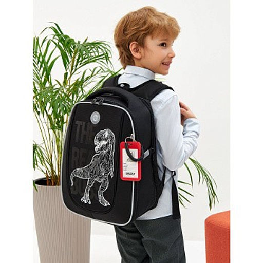 RAf-493-2 Рюкзак школьный - Grizzly фото 18