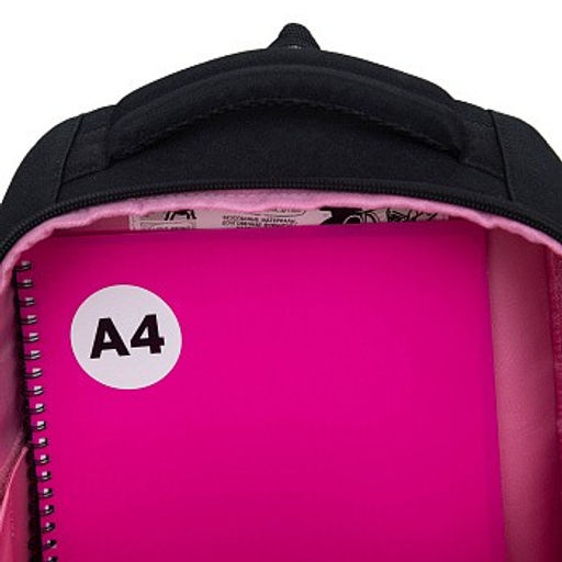 RAw-496-5 Рюкзак школьный