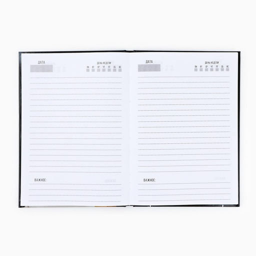 Ежедневник А5, 80 листов, недатированный, в твердой обложке Не кисни, под елочкой зависни