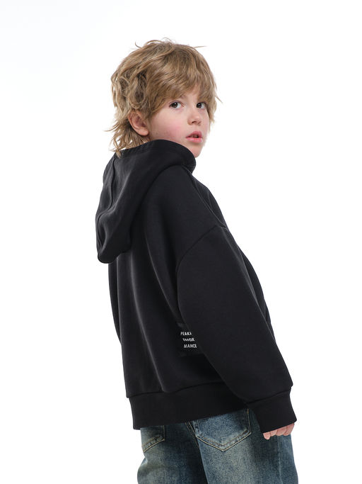 Зипка толстовка для мальчика с шевроном 22-0430 графит - Mini maxi фото 21